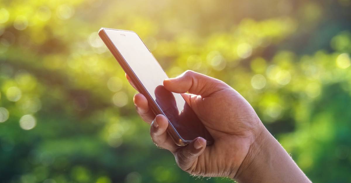 A hand holding a cell phone outside in front of large green bushes. The sun shines down on the bushes and phone screen.